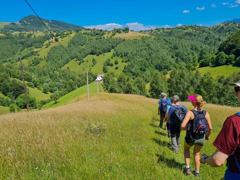 Wildlife Tour: Carpathian Walking & Bears