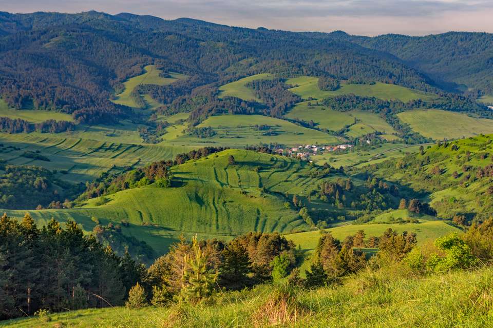 Carpathian Walking & Bears - Exodus Adventure Travels - Romania - Image 24
