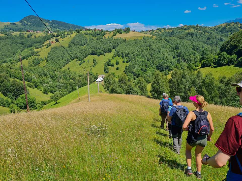 Carpathian Walking & Bears - Exodus Adventure Travels - Romania - Image 23
