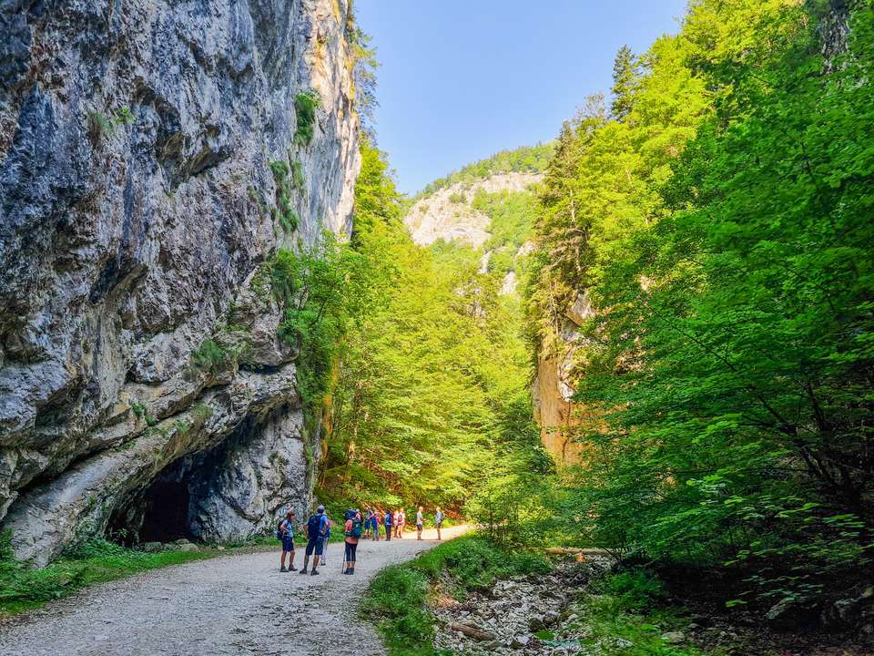 Carpathian Walking & Bears - Exodus Adventure Travels - Romania - Image 18