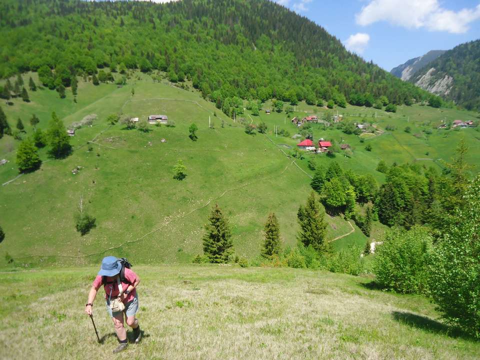 Carpathian Walking & Bears - Exodus Adventure Travels - Romania - Image 17