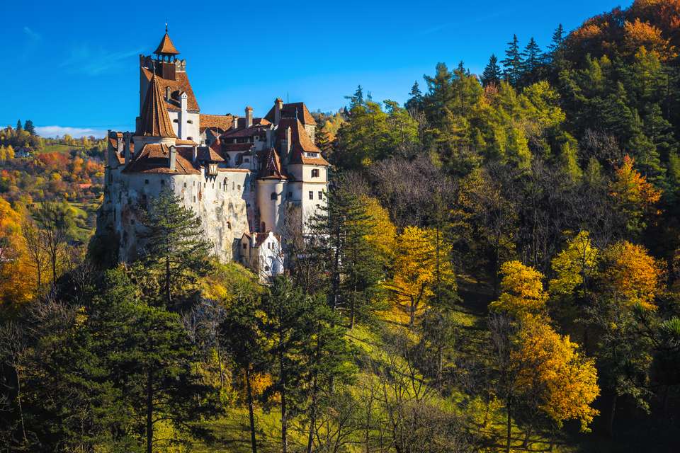Carpathian Walking & Bears - Exodus Adventure Travels - Romania - Image 16