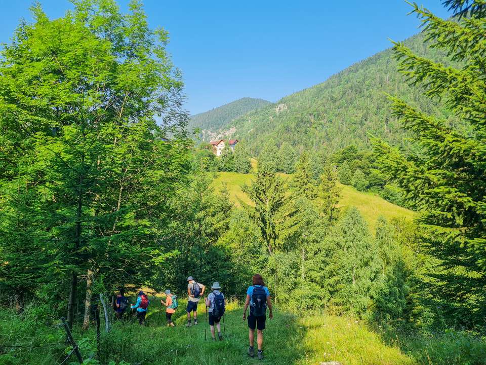 Carpathian Walking & Bears - Exodus Adventure Travels - Romania - Image 11