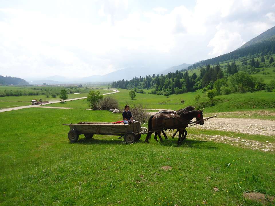 Carpathian Walking & Bears - Exodus Adventure Travels - Romania - Image 10