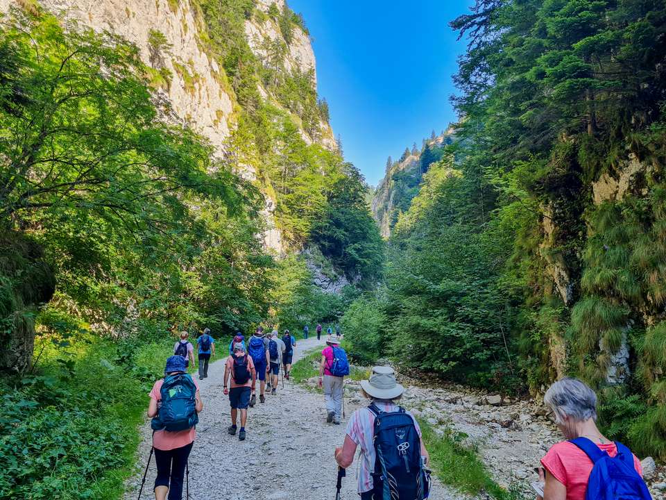Carpathian Walking & Bears - Exodus Adventure Travels - Romania - Image 8