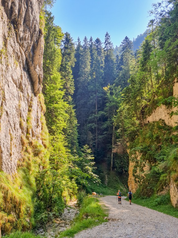 Image 4 of 26