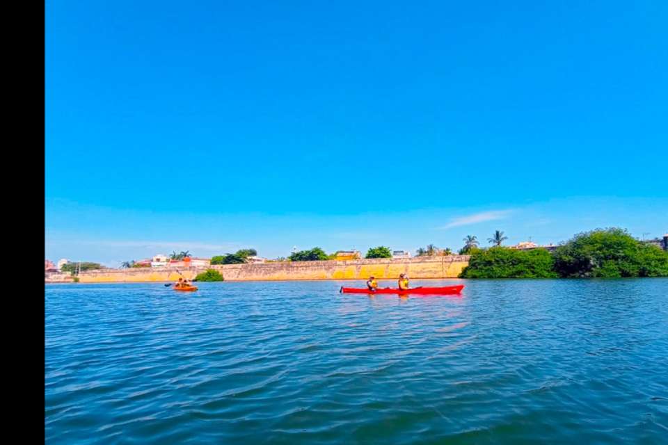 Cartagena Bay Kayak Tour - Tangol Tours - Colombia - Image 5