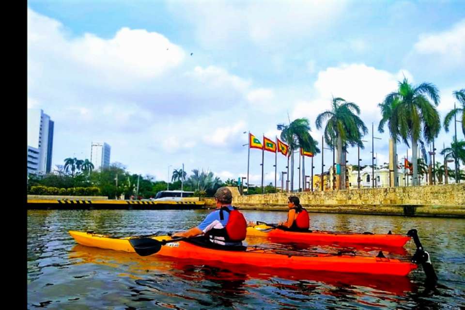 Cartagena Bay Kayak Tour - Tangol Tours - Colombia - Image 7