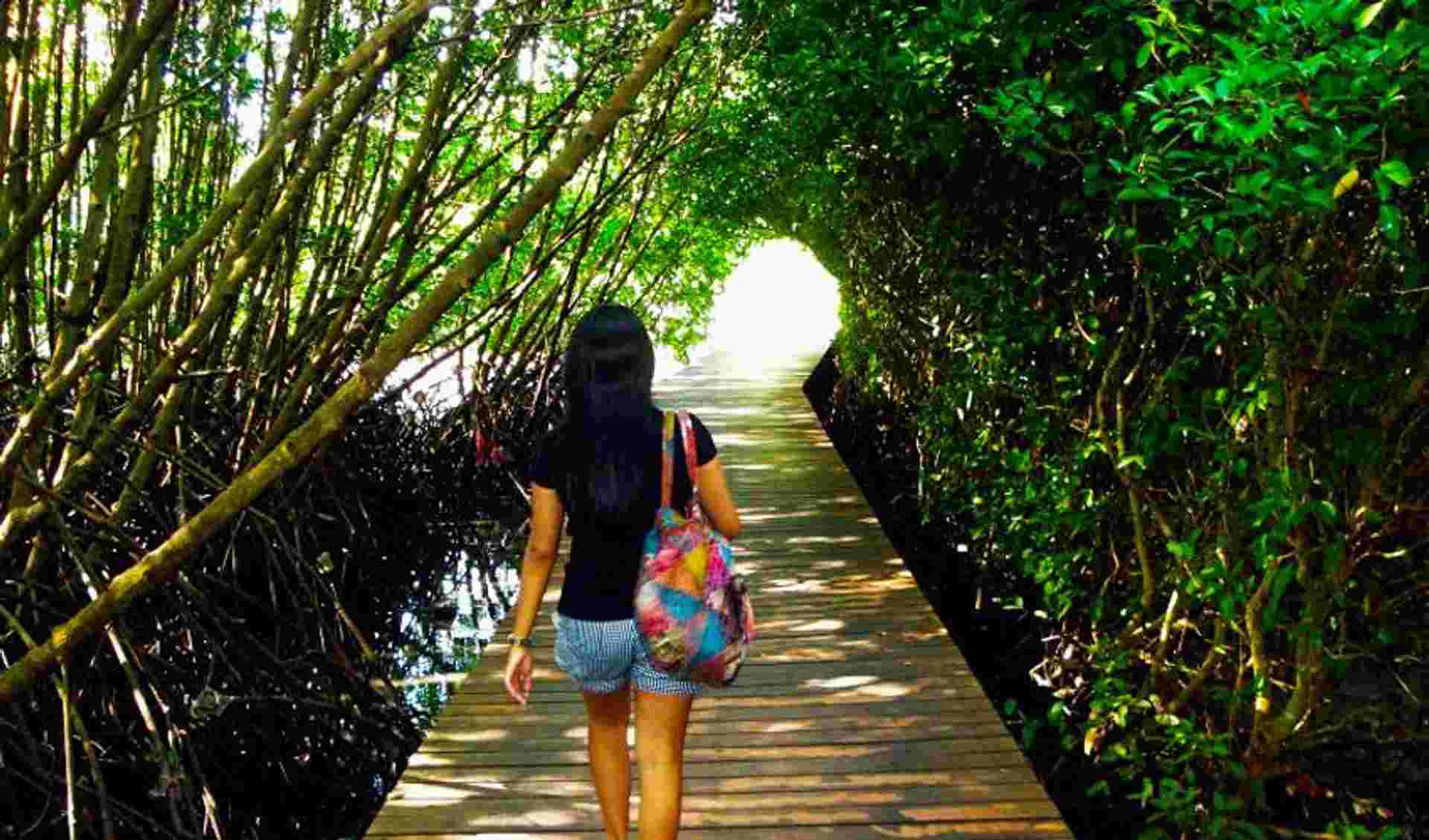 Cartagena to Bogota Travel Pass