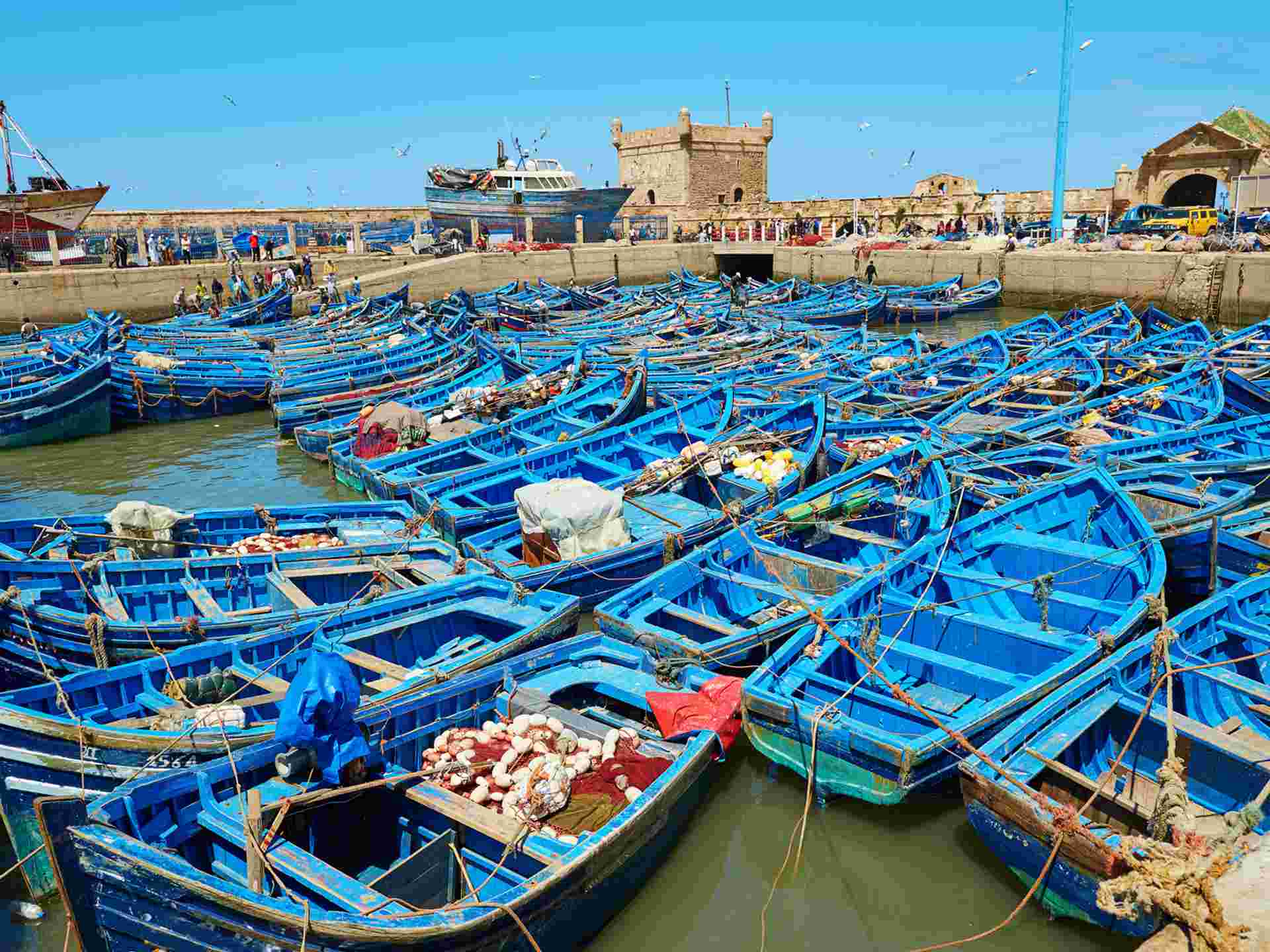 Casablanca & Coast with Chefchaouen - 9 days