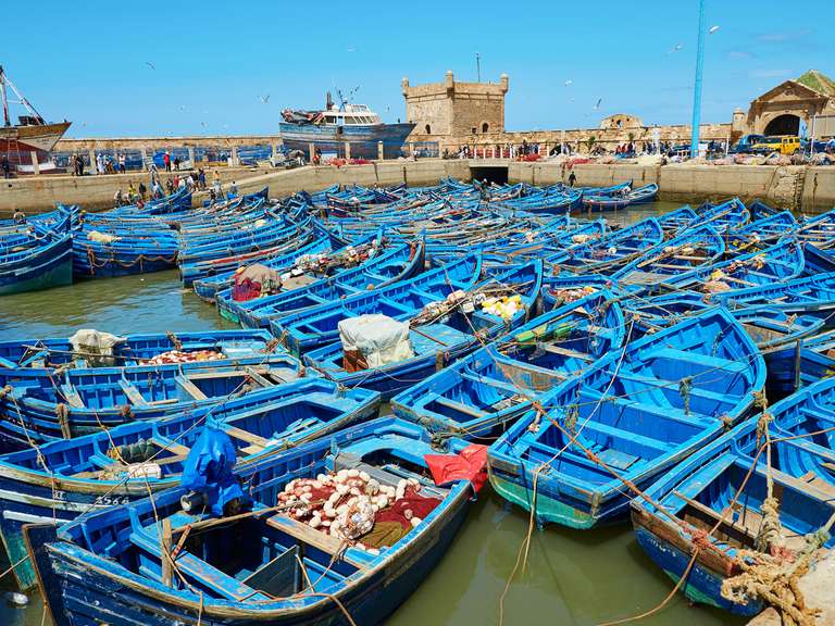Casablanca & Coast with Chefchaouen - 9 days trip - alternative tour available