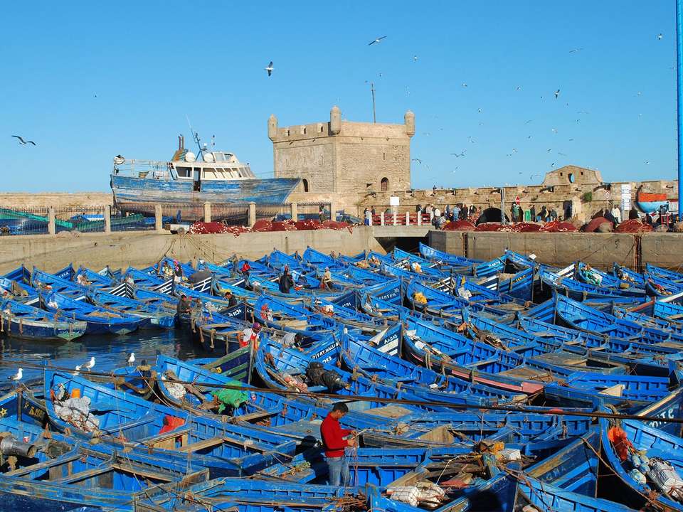 Casablanca to Essaouira - 13 days - On The Go Tours - Morocco - Image 8