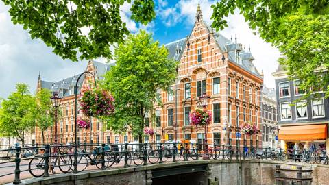 River Cruise Tour: Castles Along The Rhine & Amsterdam (2028)