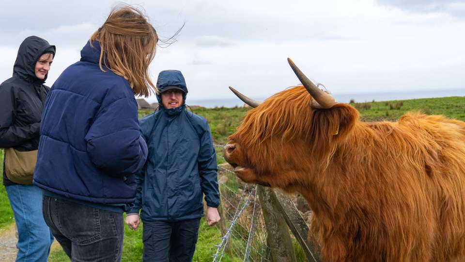 Castles, Coos & Cairngorms - undefined - Image 6