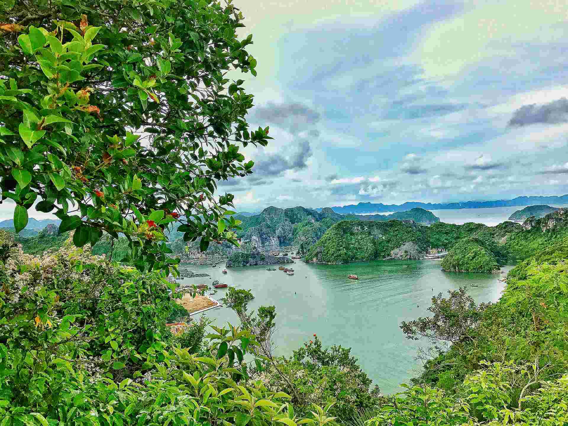 Cat Ba Trekking & Kayaking 3 Days 2 Nights