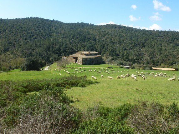 Image 2 of 6