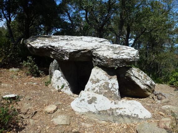Image 3 of 6