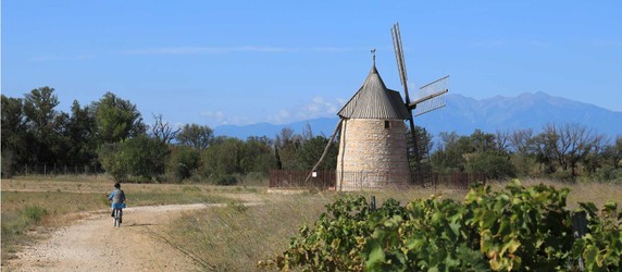 Image 2 of 11