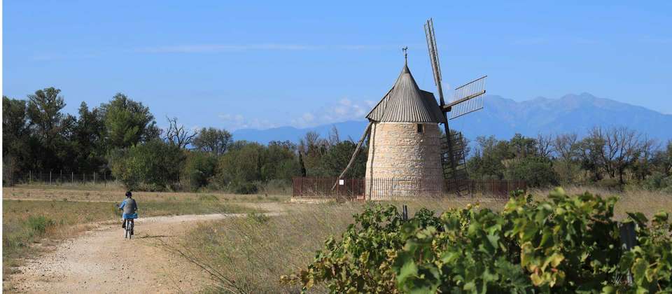 Catalonia by Bike for Families - Utracks - Spain - Image 14