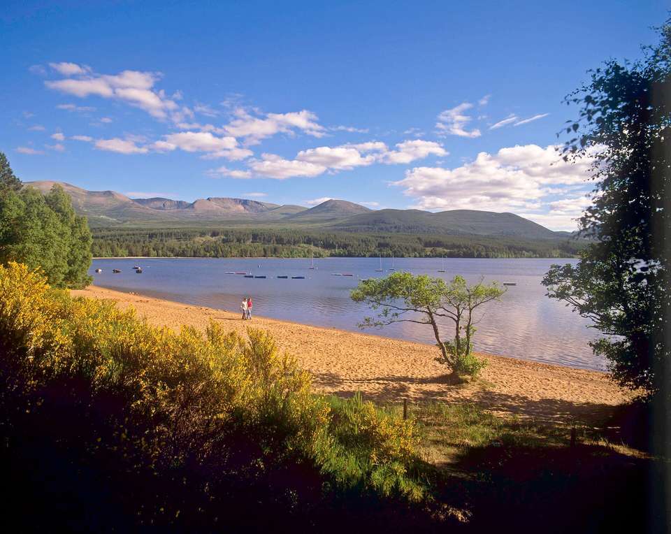 Cawdor Castle & Cairngorms National Park - Highland Explorer Tours - Scotland - Image 6