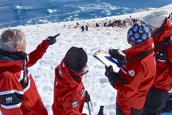 Image 3 of 11