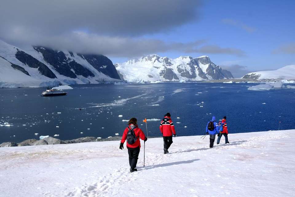 Celebrating New Year's in Antarctica (Ocean Albatros) - Intrepid Travel - Argentina - Image 8
