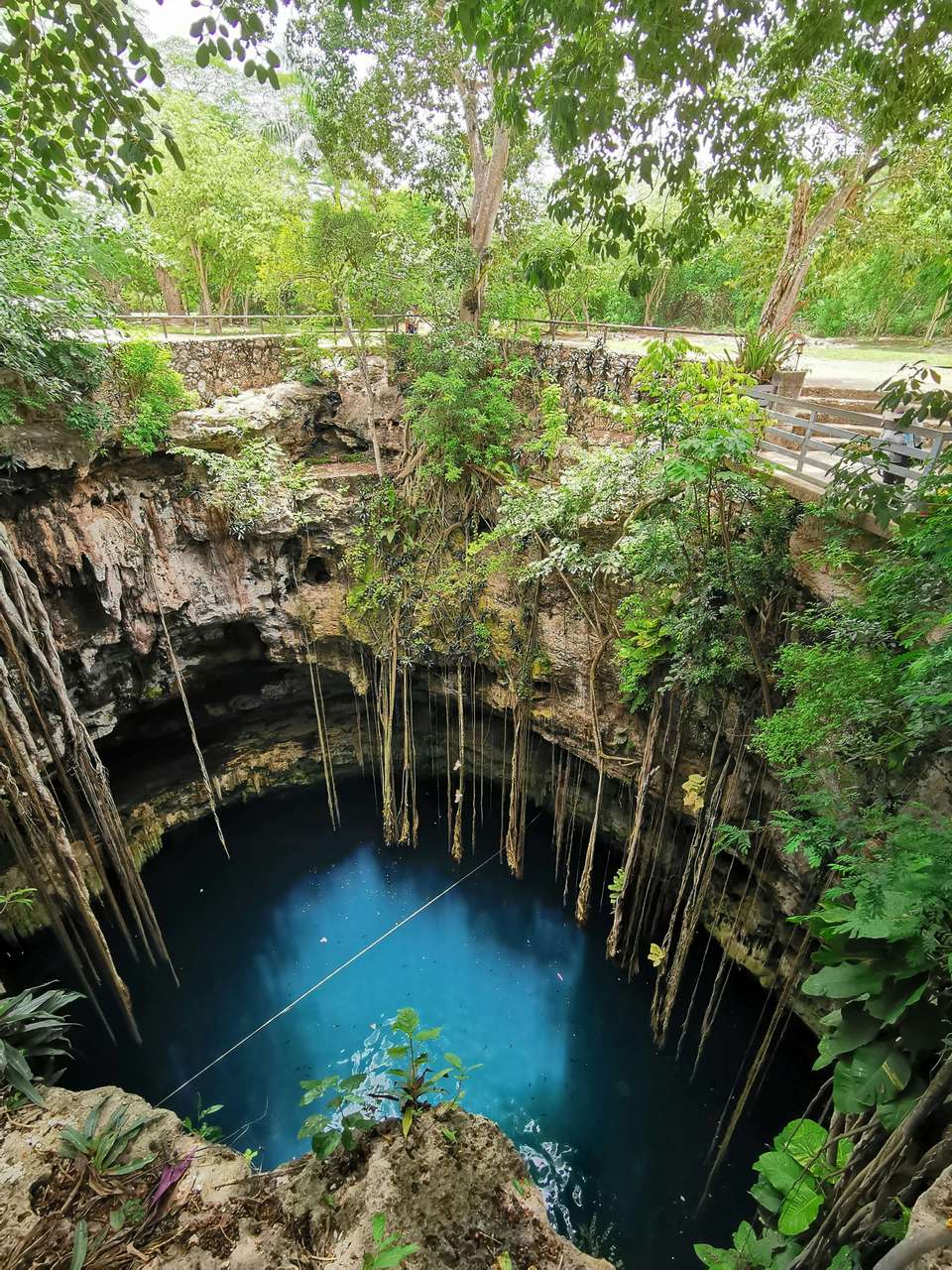 Cenotes & Maya Traditions with Local Family - undefined - Image 1