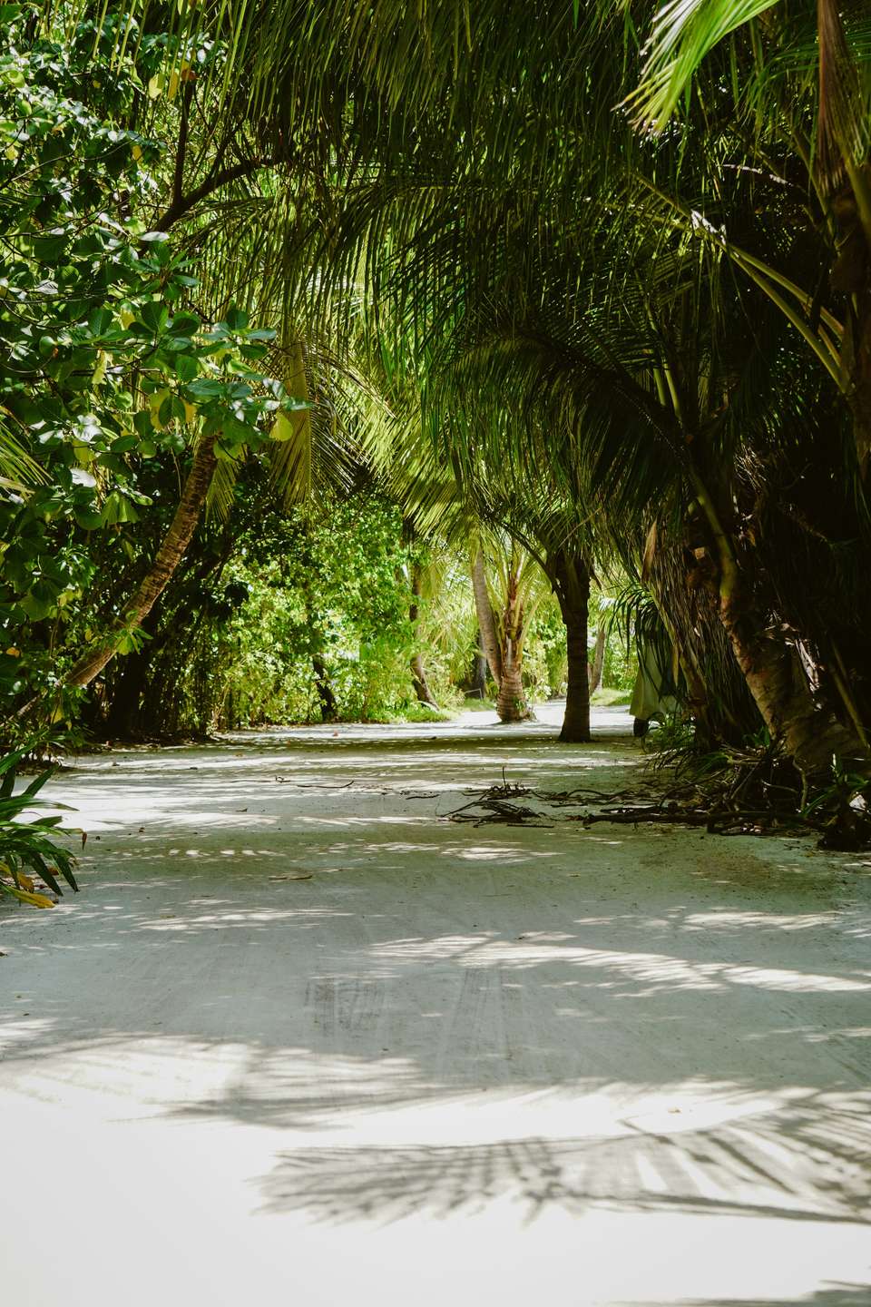 Cenotes & Maya Traditions with Local Family - undefined - Image 2
