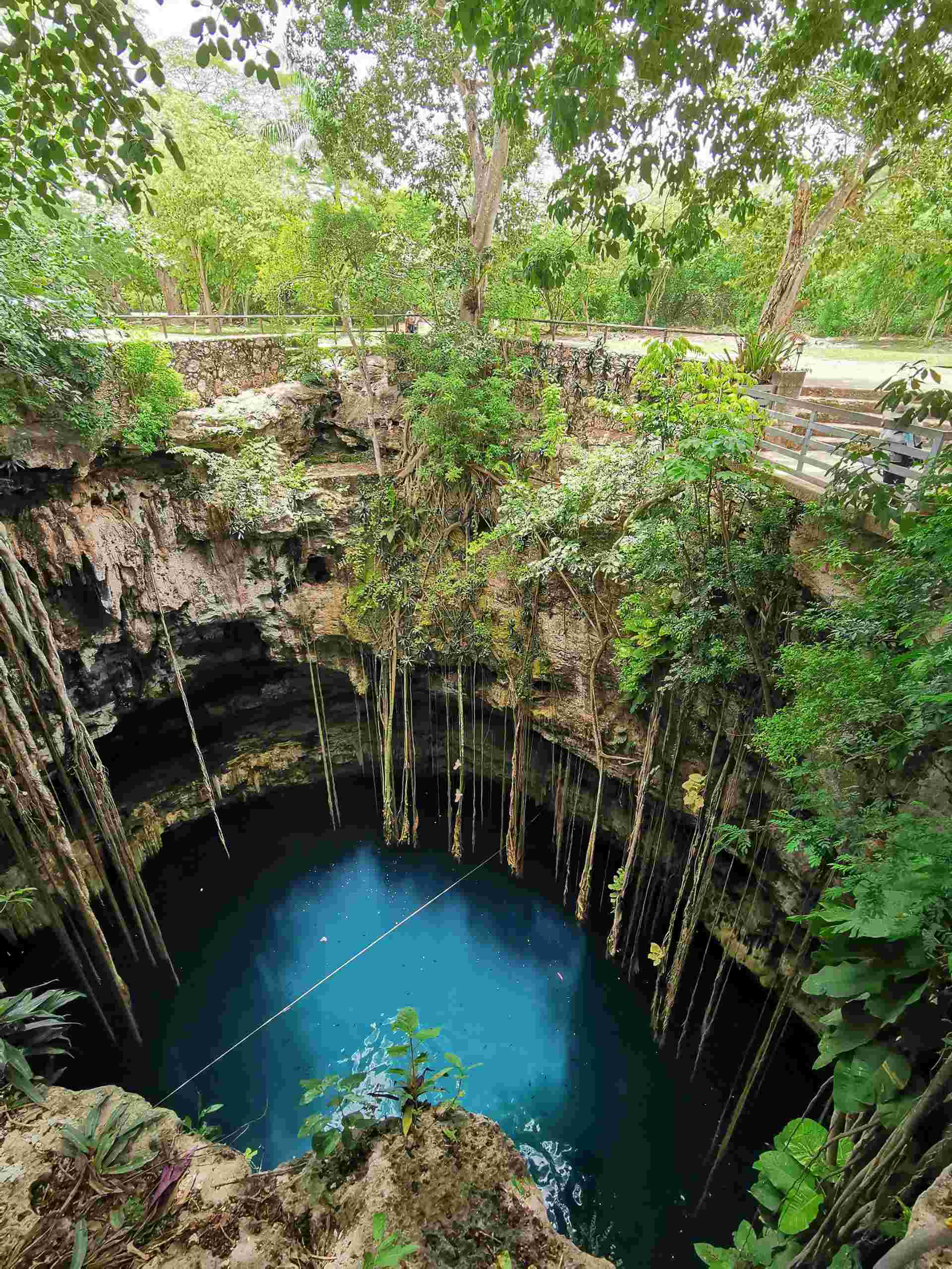 Cenotes Underground Snorkel