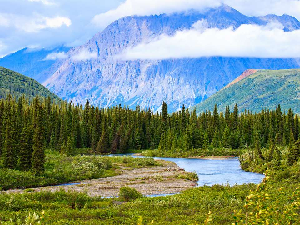Central Alaska Summer Camping - 11 days - undefined - Image 3
