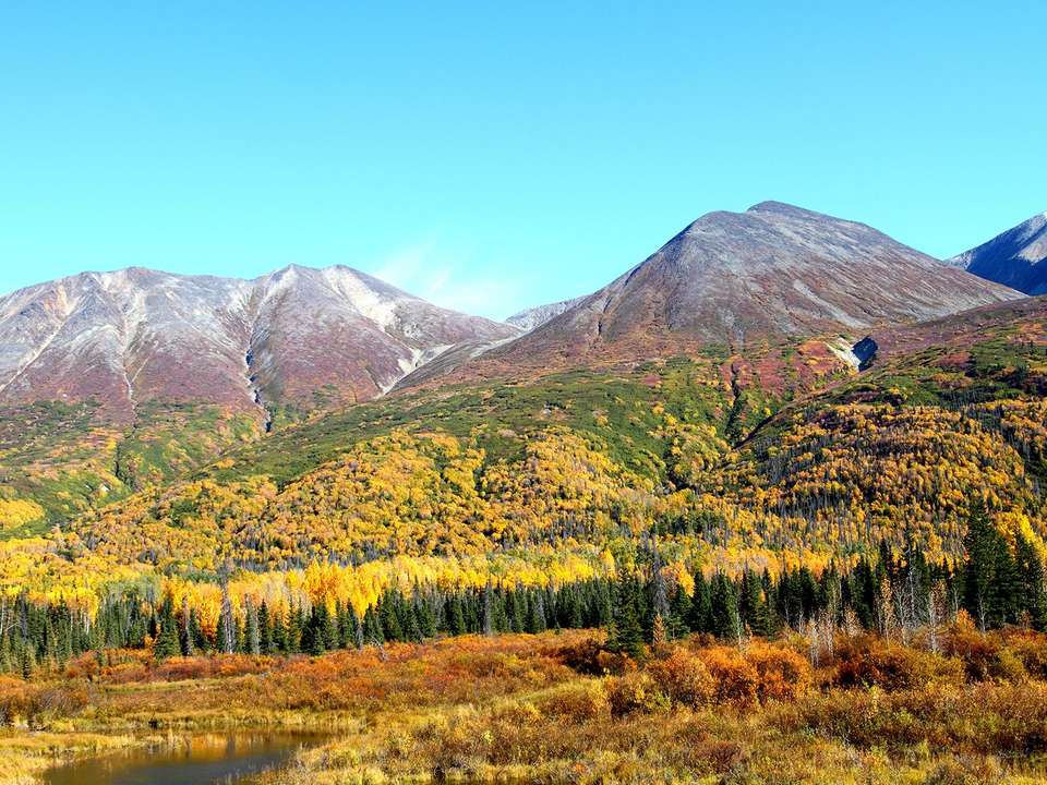 Central Alaska Summer Camping - 11 days - undefined - Image 5