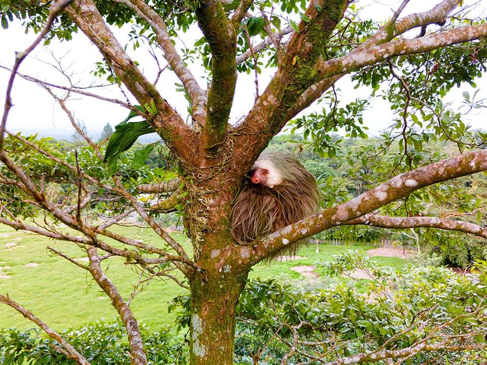 Central America Expedition  - 40 days - On The Go Tours - Mexico - Image 15