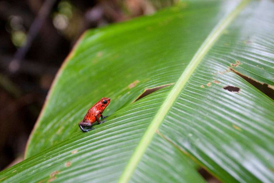 Central America Explorer - Intrepid Travel - Mexico - Image 16