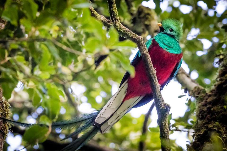 Central America Explorer - Intrepid Travel - Mexico - Image 15