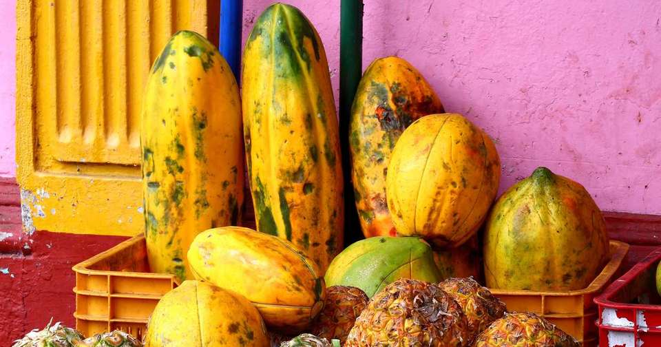 Central American Highlights - Explore - Costa Rica - Image 6