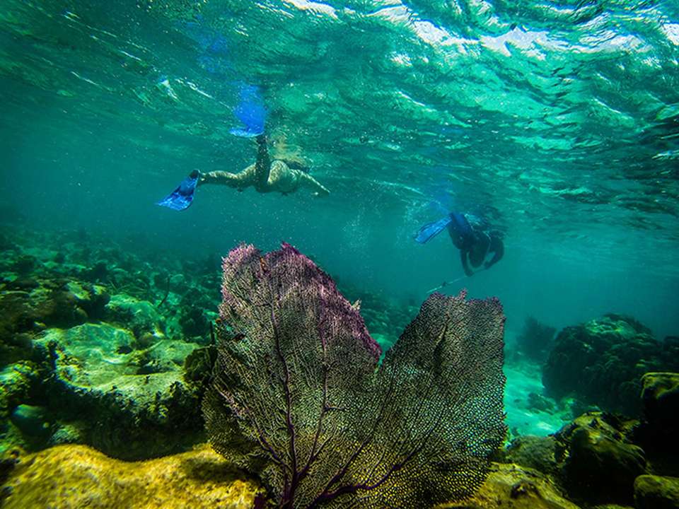 Central American Journey: Rainforests & Ruins - G Adventures - Mexico - Image 9