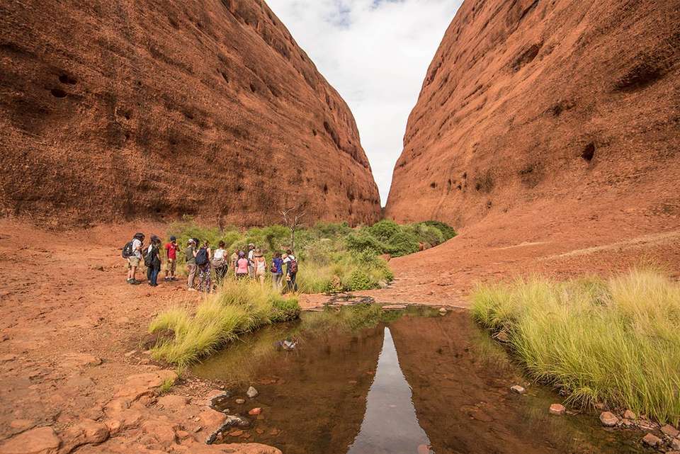 Central Australia & Uluru Family Holiday - Intrepid Travel - Australia