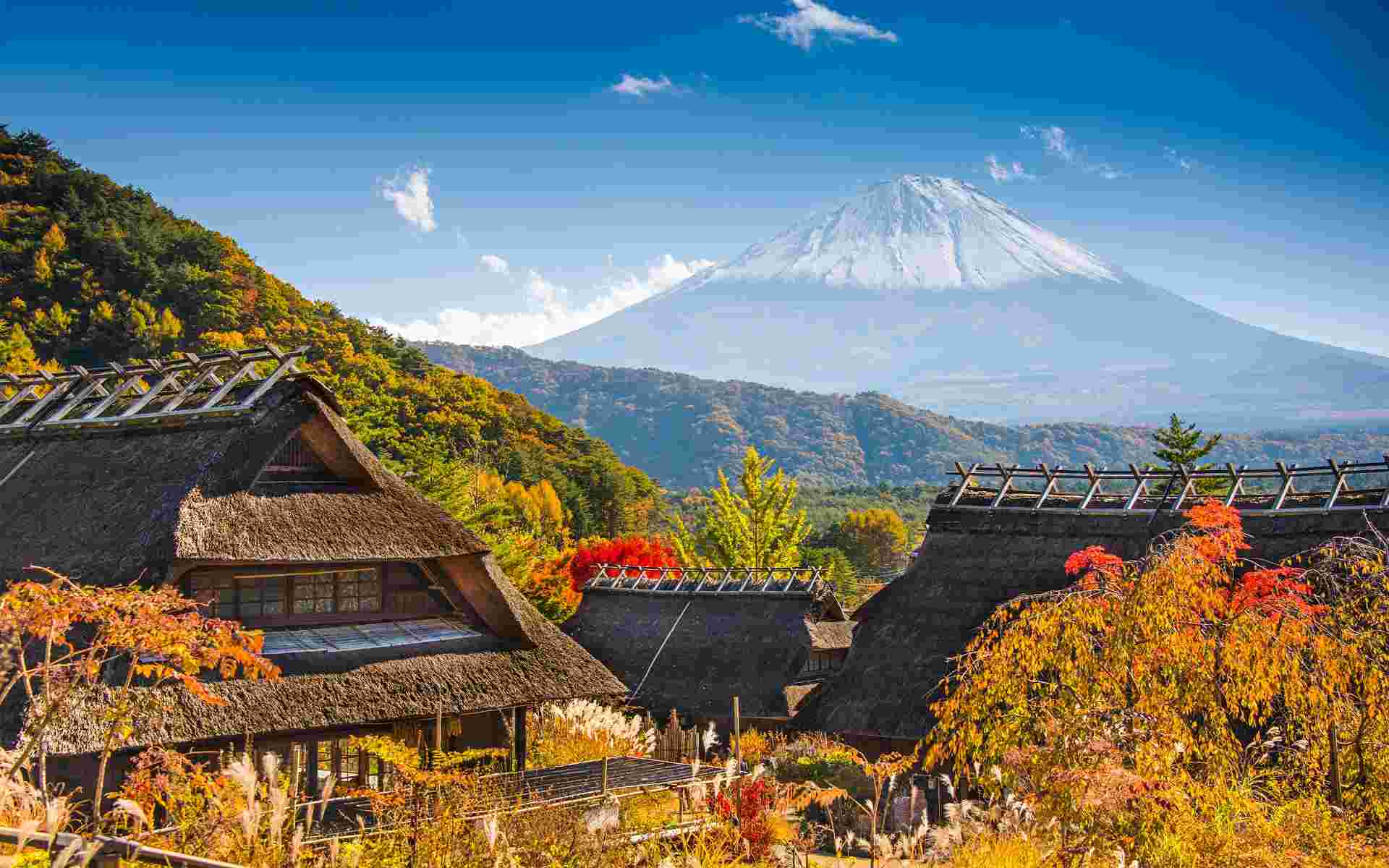 Central Japan Express