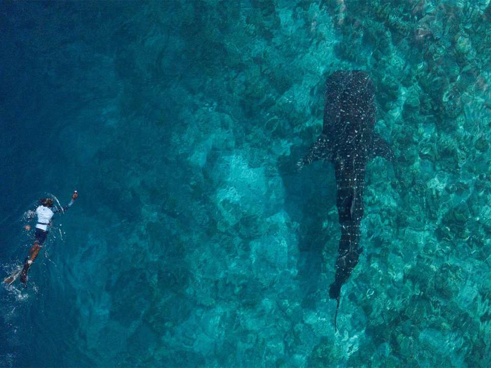 Central Maldives Discovery - 8 days - On The Go Tours - Maldives