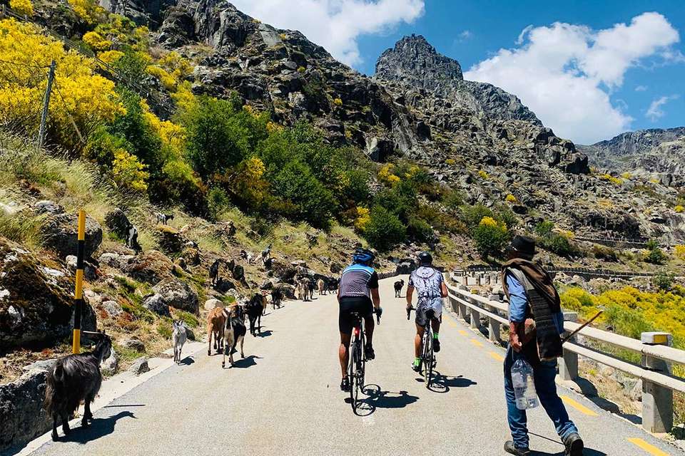 Central Portugal by Road Bike - undefined - Image 2