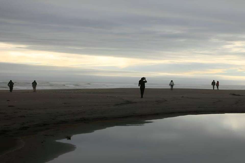 Chaihuin & Corral Treasures of Valdivia Coastal Route - Tangol Tours - Chile - Image 3