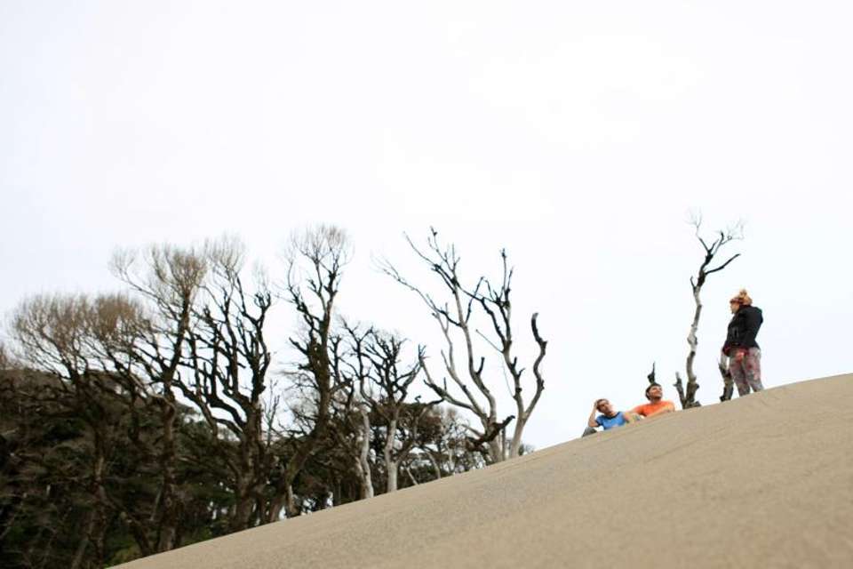 Chaihuin & Corral Treasures of Valdivia Coastal Route - Tangol Tours - Chile - Image 4