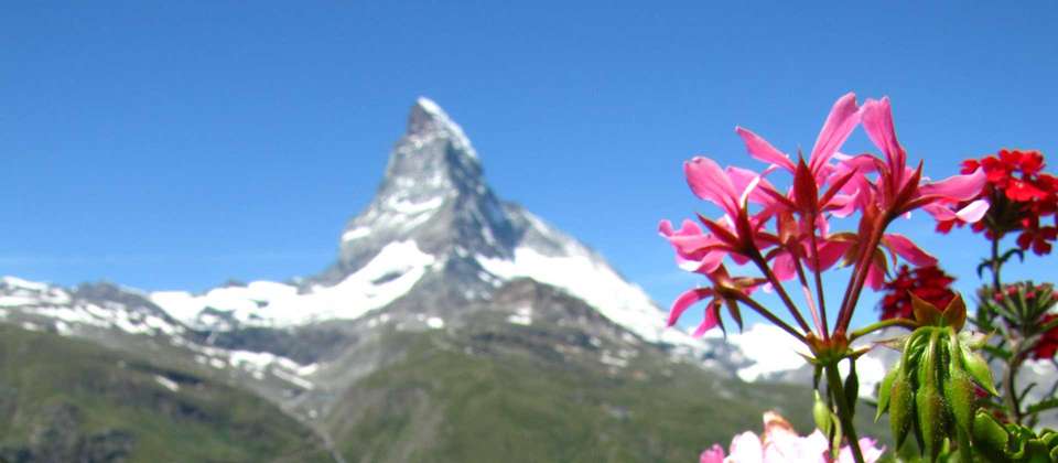 Chamonix to Zermatt Guided Hike - Utracks - Switzerland - Image 12