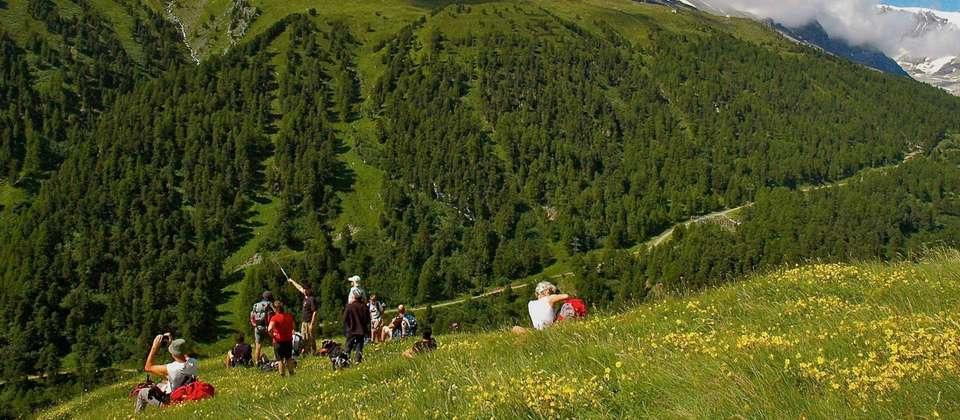 Chamonix to Zermatt Guided Hike - Utracks - Switzerland - Image 13