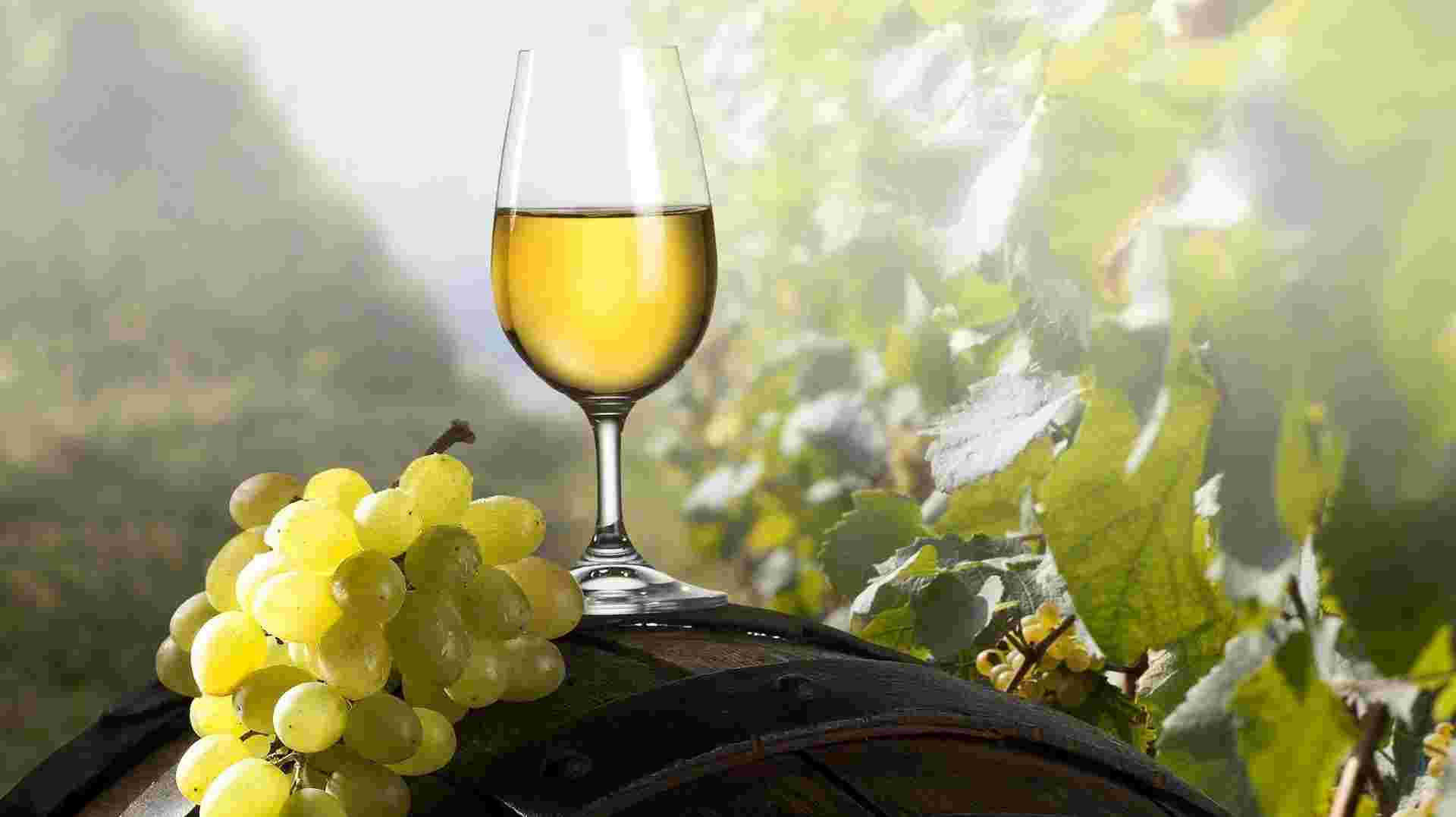 Champagne Tour from Paris (in Small Groups)