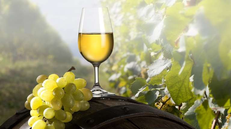 Champagne Tour from Paris (in Small Groups) - August 2027