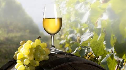 Champagne Tour From Paris (in Small Groups)