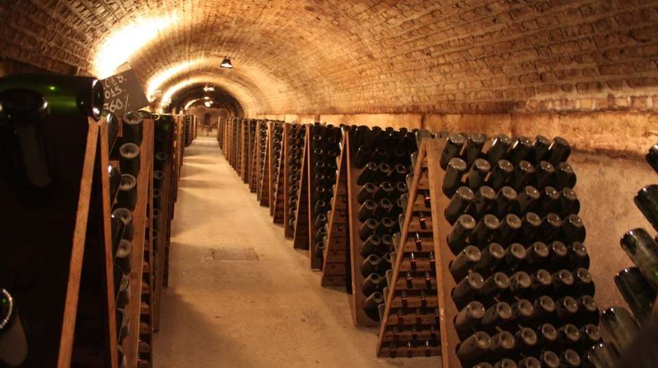 Champagne Tour from Paris (in Small Groups) - Go Go Tours - Privat Tours In Paris - France - Image 5