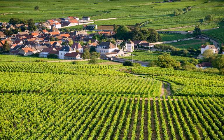 Charms of Burgundy and Alsace - October 2025