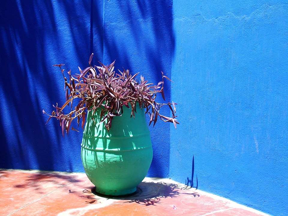 Chefchaouen And North, Private Tour - Destination Services - Morocco - Image 7